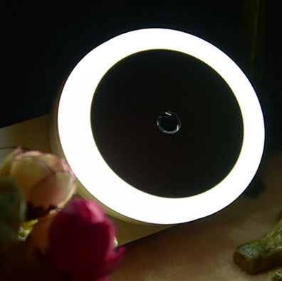 LED Plug-In Smart Night Light